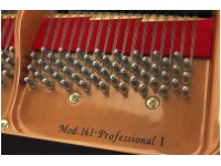 Proffessional 1 grand pianos wendl and Lung